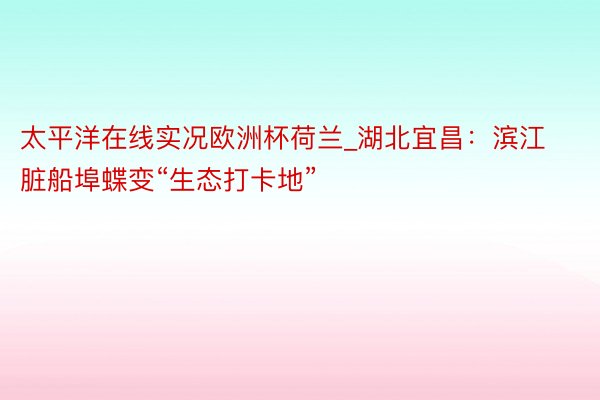 太平洋在线实况欧洲杯荷兰_湖北宜昌：滨江脏船埠蝶变“生态打卡地”