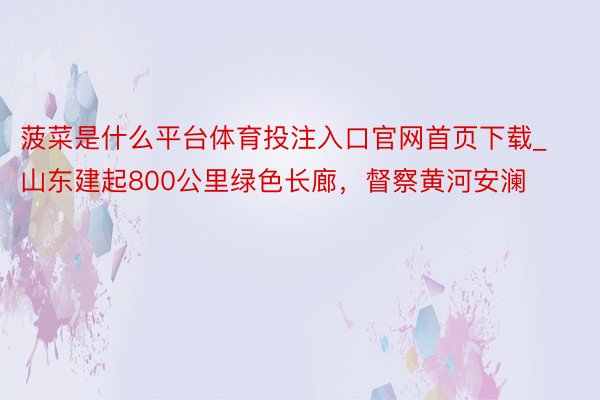 菠菜是什么平台体育投注入口官网首页下载_山东建起800公里绿色长廊，督察黄河安澜