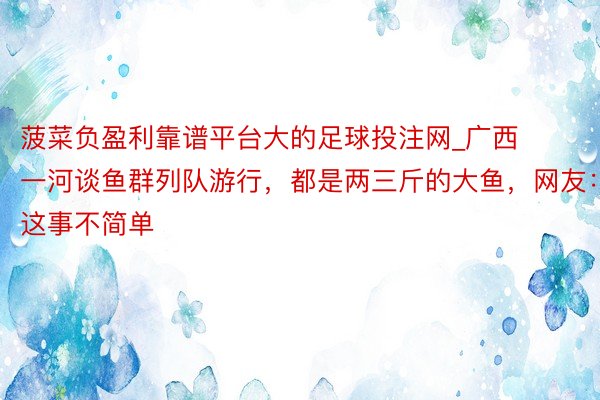 菠菜负盈利靠谱平台大的足球投注网_广西一河谈鱼群列队游行，都是两三斤的大鱼，网友：这事不简单