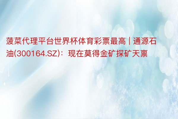 菠菜代理平台世界杯体育彩票最高 | 通源石油(300164.SZ)：现在莫得金矿探矿天禀